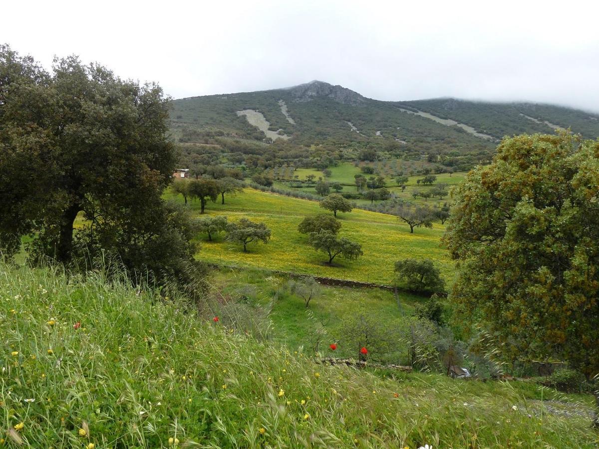 Casa Rural La Colmena Del Geoparque Navatrasierra Eksteriør billede