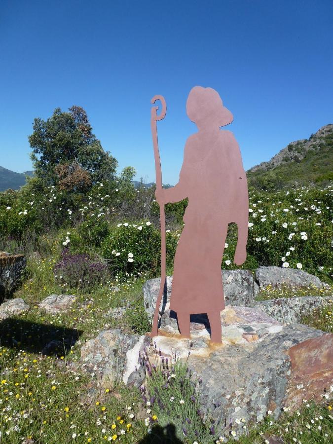 Casa Rural La Colmena Del Geoparque Navatrasierra Eksteriør billede
