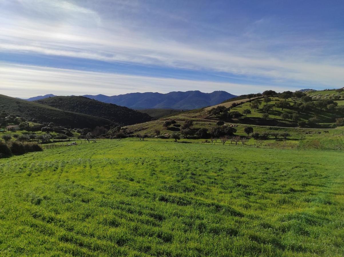 Casa Rural La Colmena Del Geoparque Navatrasierra Eksteriør billede