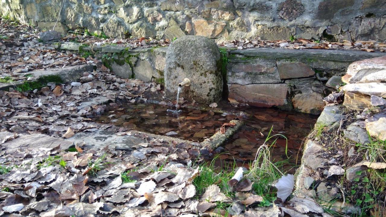 Casa Rural La Colmena Del Geoparque Navatrasierra Eksteriør billede